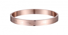 Stainless Steel Bangle Bracelet