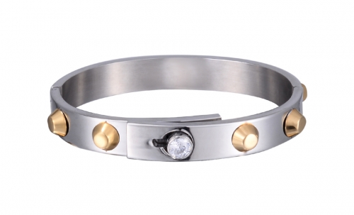 Stainless Steel Bangle Bracelet