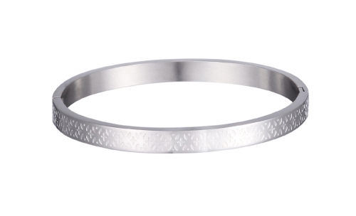 Stainless Steel Bangle Bracelet