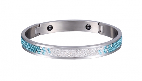 Stainless Steel Bangle Bracelet