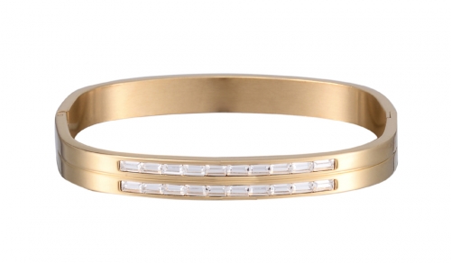 Stainless Steel Bangle Bracelet