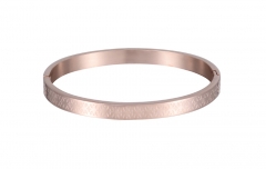 Stainless Steel Bangle Bracelet