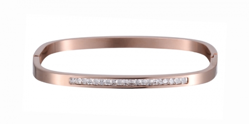 Stainless Steel Bangle Bracelet