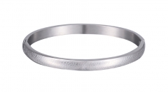 Stainless Steel Bangle Bracelet