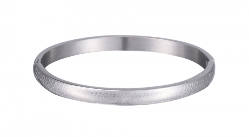 Stainless Steel Bangle Bracelet