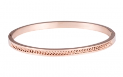 Stainless Steel Bangle Bracelet